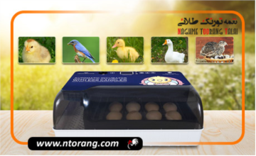 راهنمایی کامل برای خرید دستگاه جوجه کشی
